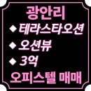 오션뷰공인중개사사무소 | 광안리 테라스타오션 오션뷰 오피스텔 매매 3억
