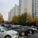 &lt;20대 서울 아파트 내집마련 후기&gt; 4편: B 동네 임장, 학군지의 평화로움과 흔들리는 마음