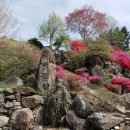 태란 펜션 이미지