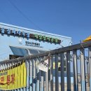 해파랑길(제24구간) Daum카페