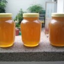 꿀과 함께먹는 계피가루의 효능 이미지