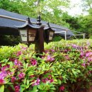 용인황토펜션 이미지