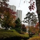 쥬얼리부동산공인중개사사무소 이미지