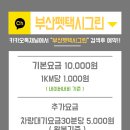 부산펫택시그린 이미지
