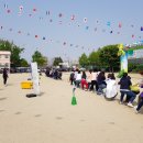 양대초등학교 이미지