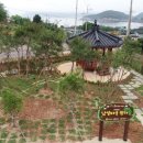 선정은하수꼬막마을 이미지