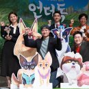 언더독