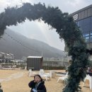 전주 대형카페 애드리브(ADLIB)(애견동반 가능)