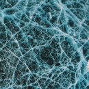 하늘빛초등학교 이미지