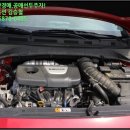 애니카랜드 교동한미 이미지