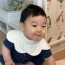 행복한또미네 | 9개월 아기 발달 과정 총정리｜또미 기준 실제 발달 후기