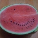 쪼개