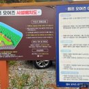 캠프오어즈 이미지