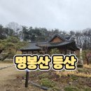 대금산진달래길(등산) | 등산] 비 오는 날 동화마을수목원 자작나무길 산책하려다가 명봉산 진달래 길 등산하고 동화사 방문한 후기