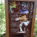 수도산 자연휴양림 이미지