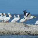 백세시대 이미지