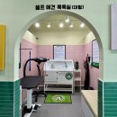 버블독스 가정루원시티점 | 가정역 근처 셀프애견 목욕 할 수 있는 곳