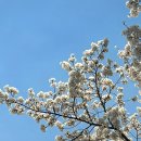 소소PLAY 이미지