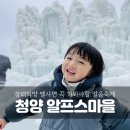 몽산포영농조합법인 | 엘사가 장래희망이야? 충남 청양 알프스마을 얼음 축제 40개월 아이랑 방문 후기