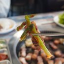 사브로소인제주