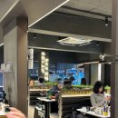 태산양꼬치 이미지