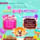 채움동물병원 이미지