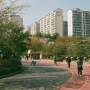 한숲사거리(한숲스포츠센터 앞) 이미지
