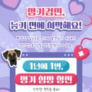 우리펫동물병원 이미지