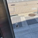 음악역1939 | 프롬밀크 - 가평 음악역 1939 근처 목장카페 내돈내산 후기