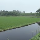 둠벙추어탕 이미지