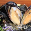 섭스토어 이미지