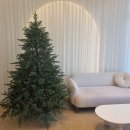 베다내과의원 이미지