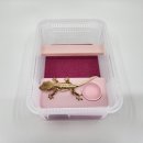 도마바얌 이미지