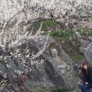 지에스25광양매화 이미지