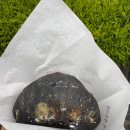 동궁순대 | 추천 주차 | 내돈내산 추천 비추천 가게 솔직후기 | 강릉 오징어 순대 동궁맛집 보석닭강정 중화짬뽕빵