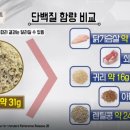 착한씨앗