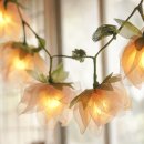 대운 동물병원 | [마감] 우주가 양자리로 물든 지금은!! 무조건 나의 주파수 올리기! 공간 정화 에너지 디톡스 플라워...