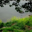 무창포해수욕장 이미지