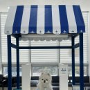 두카메디컬센터 | [안양] 두카메디 두카셀뱅크 두카메디컬센터 포메 알로페시아 방문후기