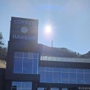 카페더숲 | 정관 카페 젬스톤 인 더 숲 후기｜숲 뷰 좋은 대형카페, 레몬 케이크 상큼함까지