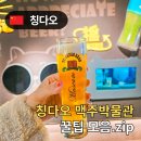 칭다오 맥주박물관 예약 방법부터 기념품 추천까지 꿀팁 가득 후기