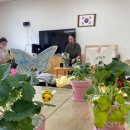 남양주월산초등학교(병설) 이미지