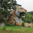 서울대공원 이미지