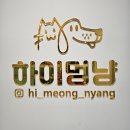 하이멍냥 강아지분양 고양이분양 서울본점 이미지