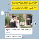 더타임 | 본식DVD 꼭 해야 할까? 40만원 이하 업체 비교 끝에 앳더타임 계약 후기