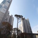 한신탑공인중개사사무소 이미지