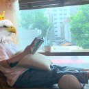 놀숲PC | 종로 혼밥도, 데이트도 완벽한 만화카페 놀숲 종로관철점 방문후기