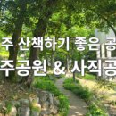 사직중앙로 이미지
