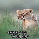 모여라 동물의 숲~~~~ 이미지