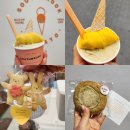 젤라떼리아사우스브룩연산 이미지